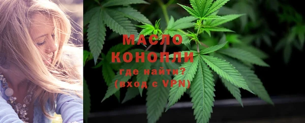 дмт Аркадак