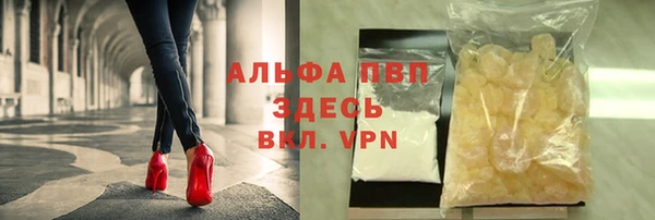 дмт Аркадак