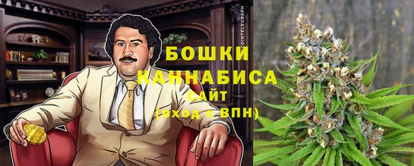 эйфоретик Арсеньев