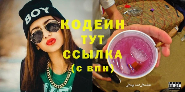 эйфоретик Арсеньев