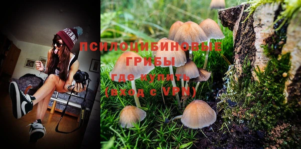PSILOCYBIN Армянск