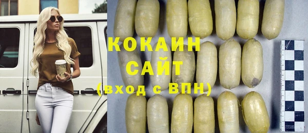 эйфоретик Арсеньев