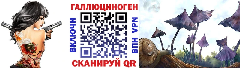 Псилоцибиновые грибы мухоморы  даркнет сайт  Почеп 
